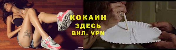 прущие крисы Алзамай